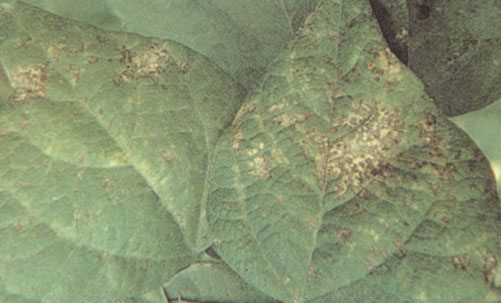 政府网站年度报表